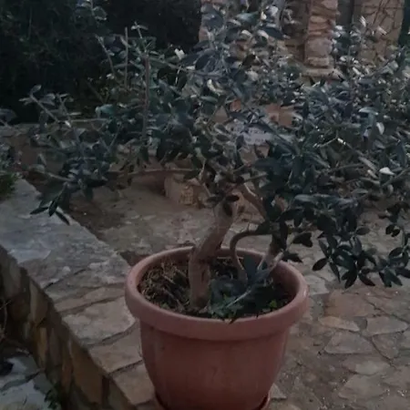 Villa Palma vacanze * Montallegro