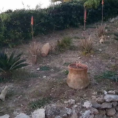 Villa Palma vacanze Casa vacanze